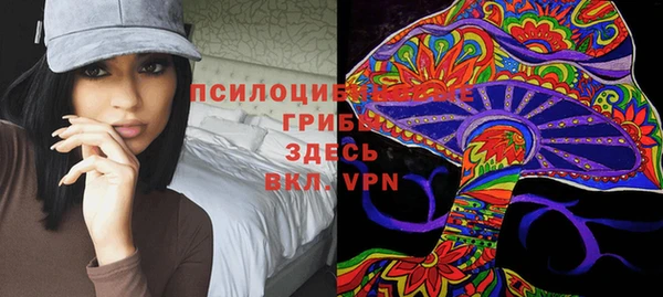 марки lsd Горно-Алтайск